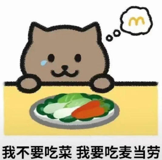 胖猫跳江去世,5个意想不到