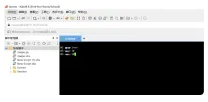 Xshell 自动巡检交换机vbs脚本